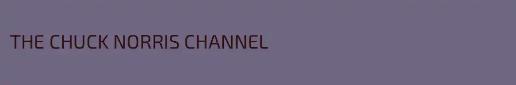 THE CHUCK NORRIS CHANNEL